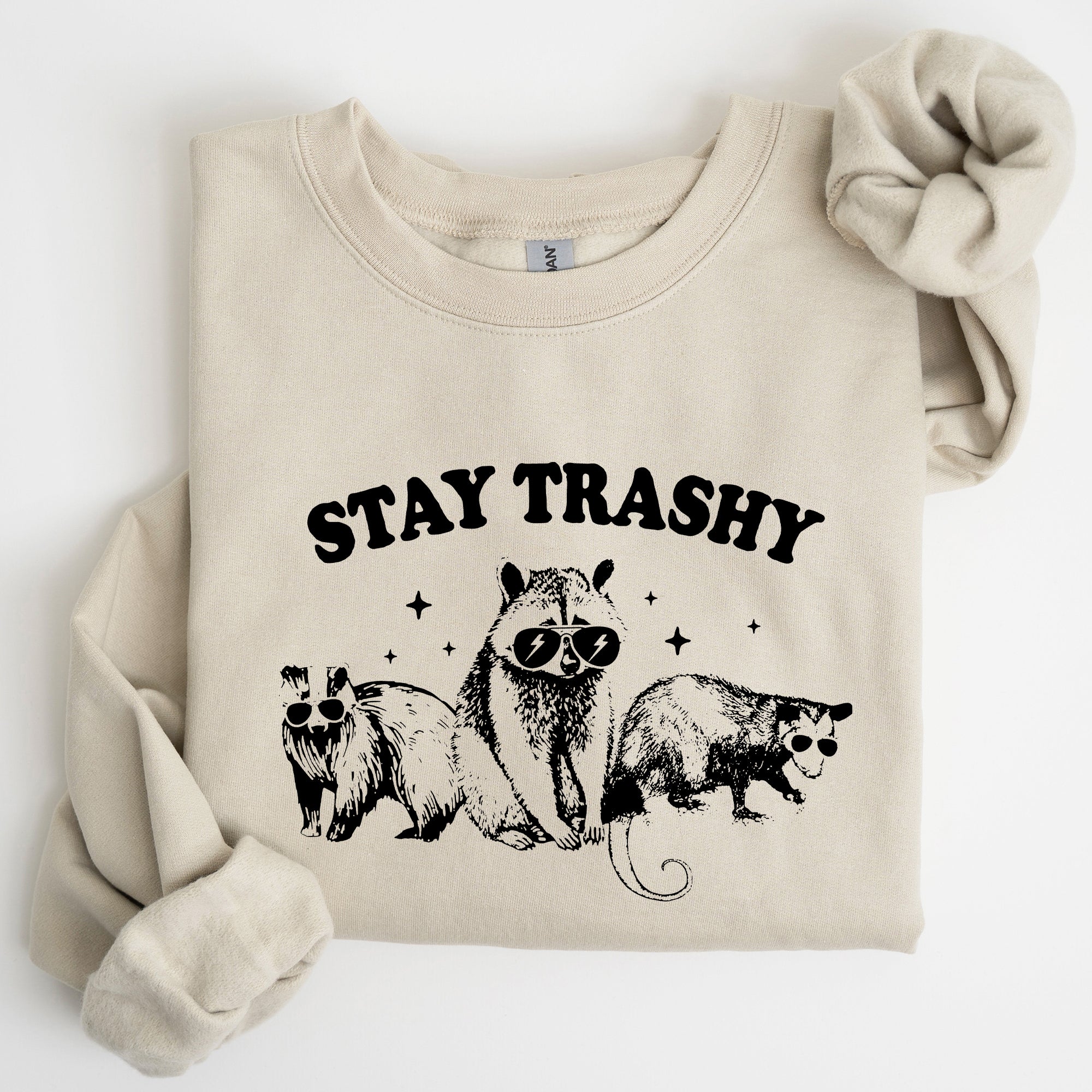 Stay Trashy Raccoon Possum Aesthetic Meme Funny Graphic Illustration Quote Pop Culture Style Sweatshirt