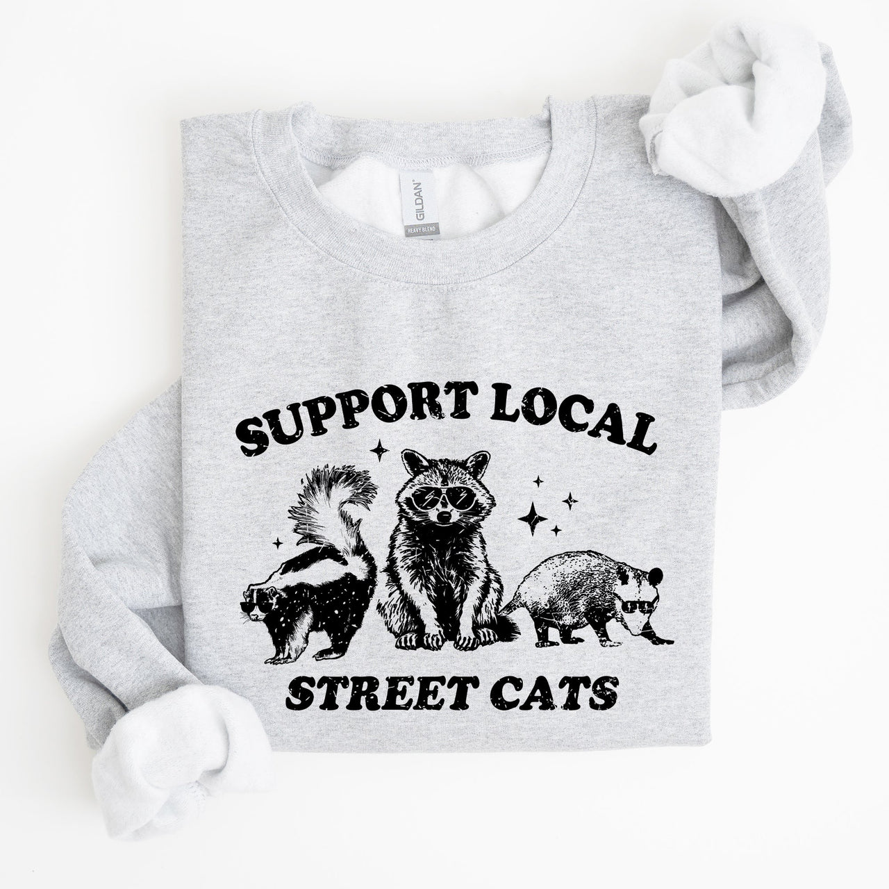 Support Local Street Cats Raccoon Skunk Possum Meme Sweatshirt For Animal Lovers