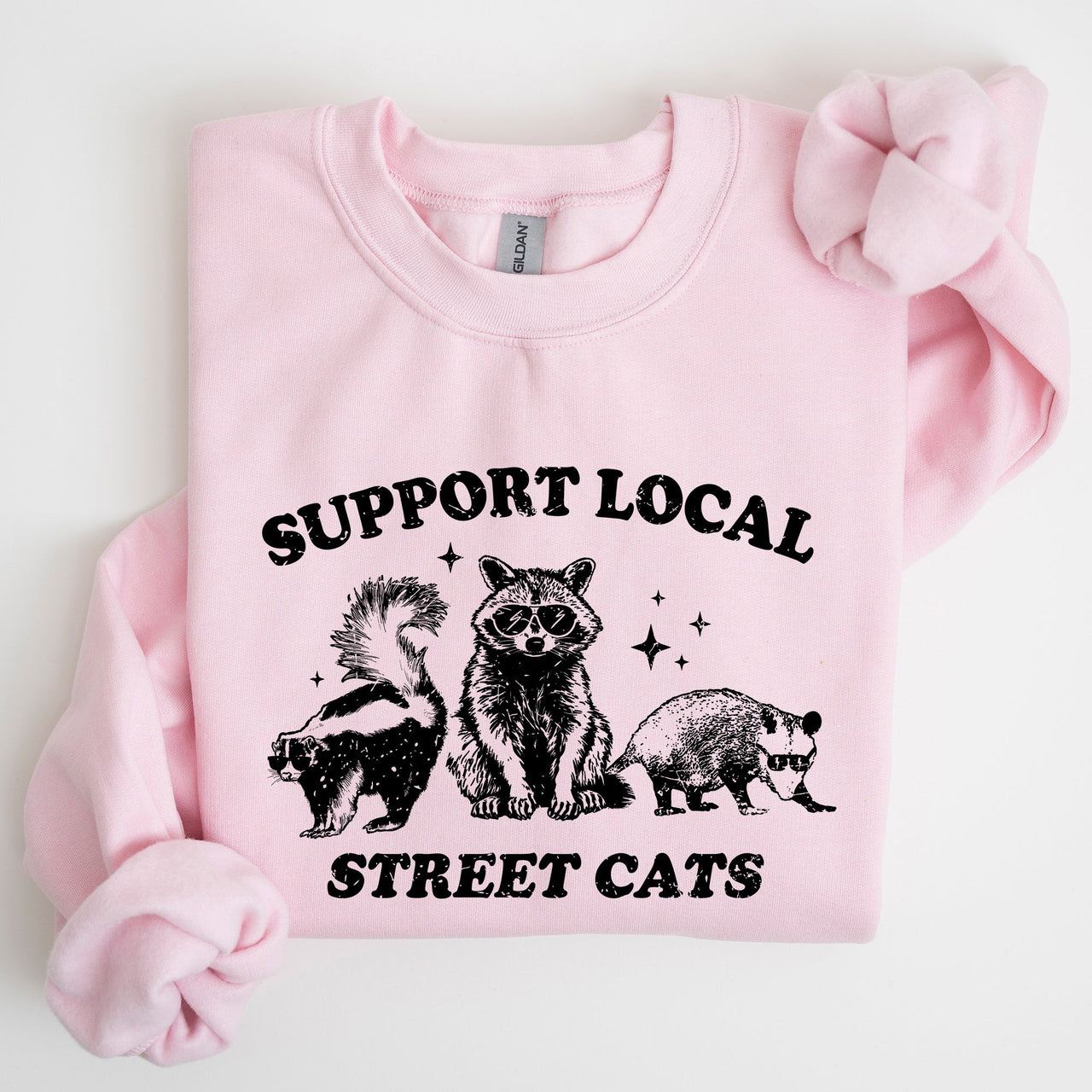 Support Local Street Cats Raccoon Skunk Possum Meme Sweatshirt For Animal Lovers
