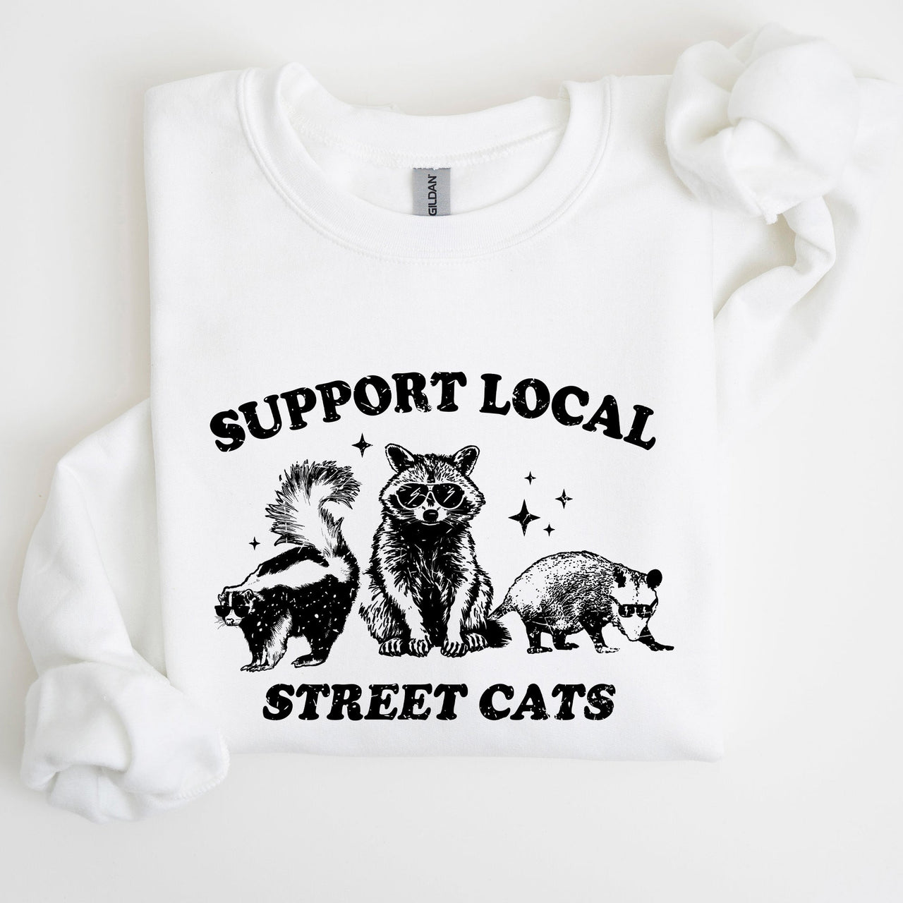 Support Local Street Cats Raccoon Skunk Possum Meme Sweatshirt For Animal Lovers