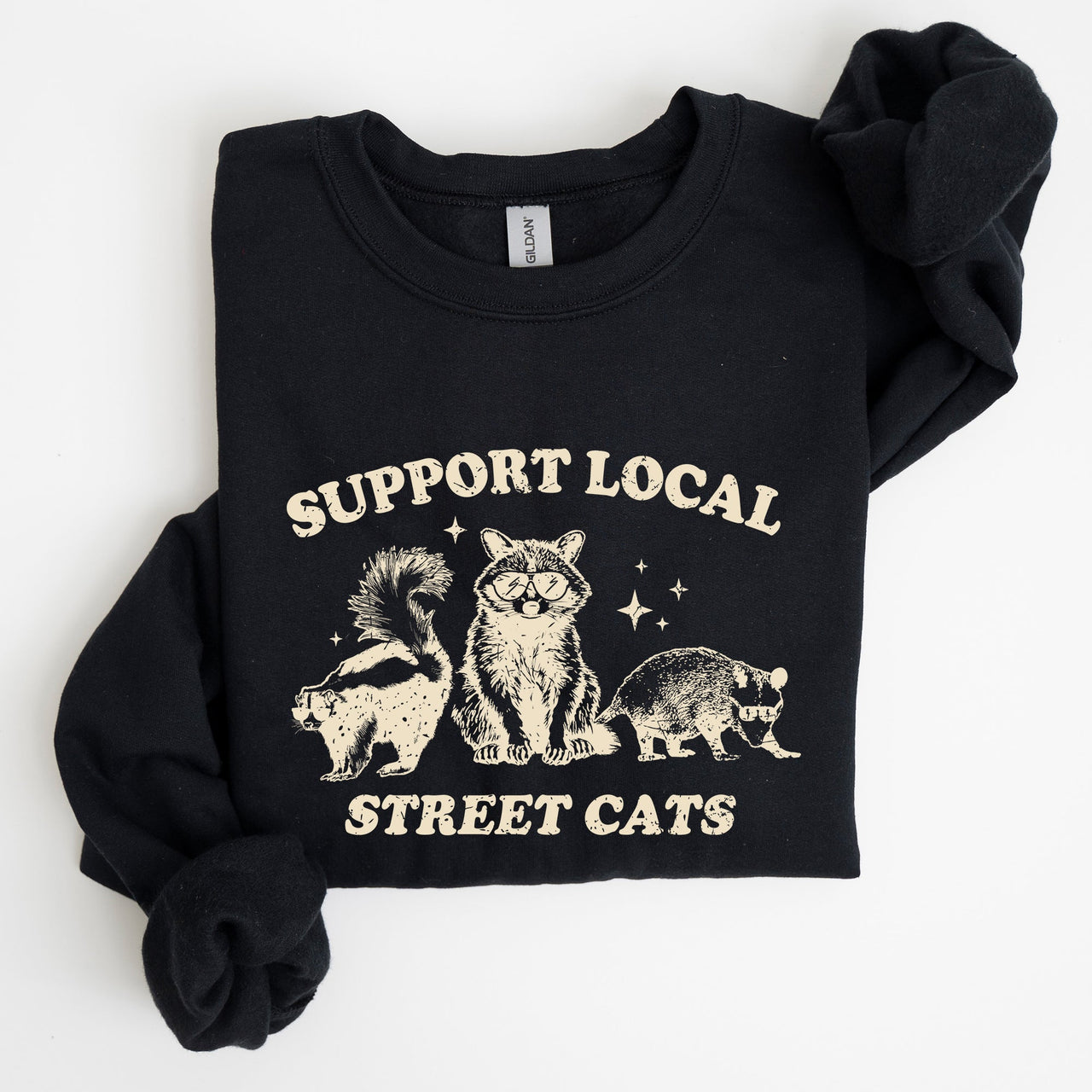 Support Local Street Cats Raccoon Skunk Possum Meme Sweatshirt For Animal Lovers