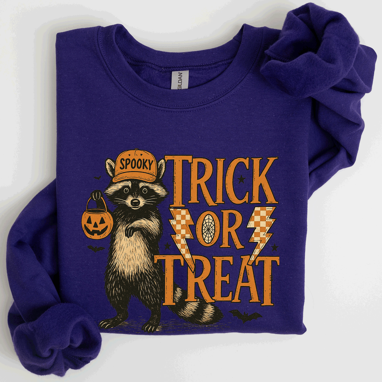 Trick Or Treat Raccoon Halloween Spooky Cozy Premium Graphic Edition Soft Warm Everyday Sweatshirt