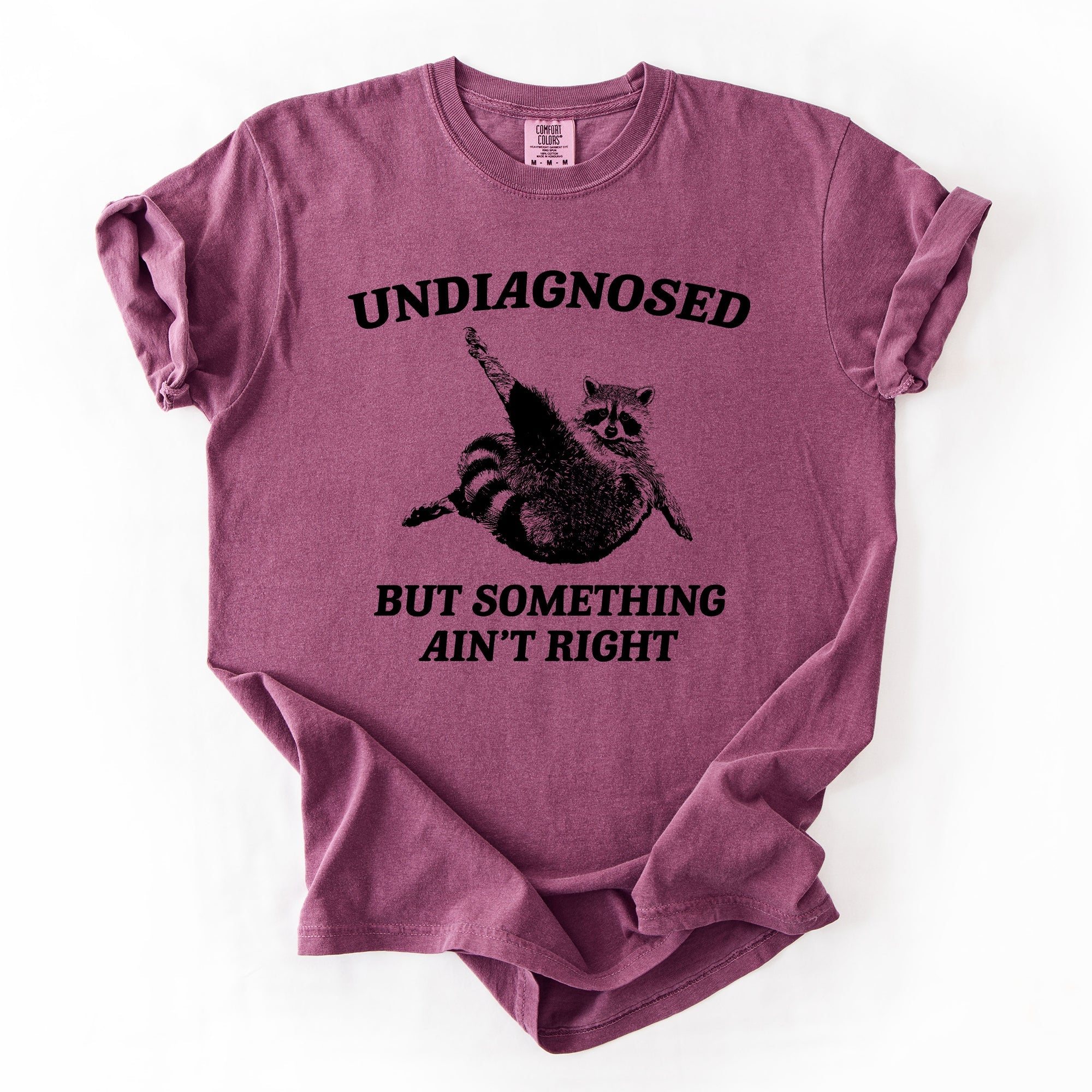 Undiagnosed, But Something Ain't Right, Raccoon Illustrated Graphic Comfort Colors Tee