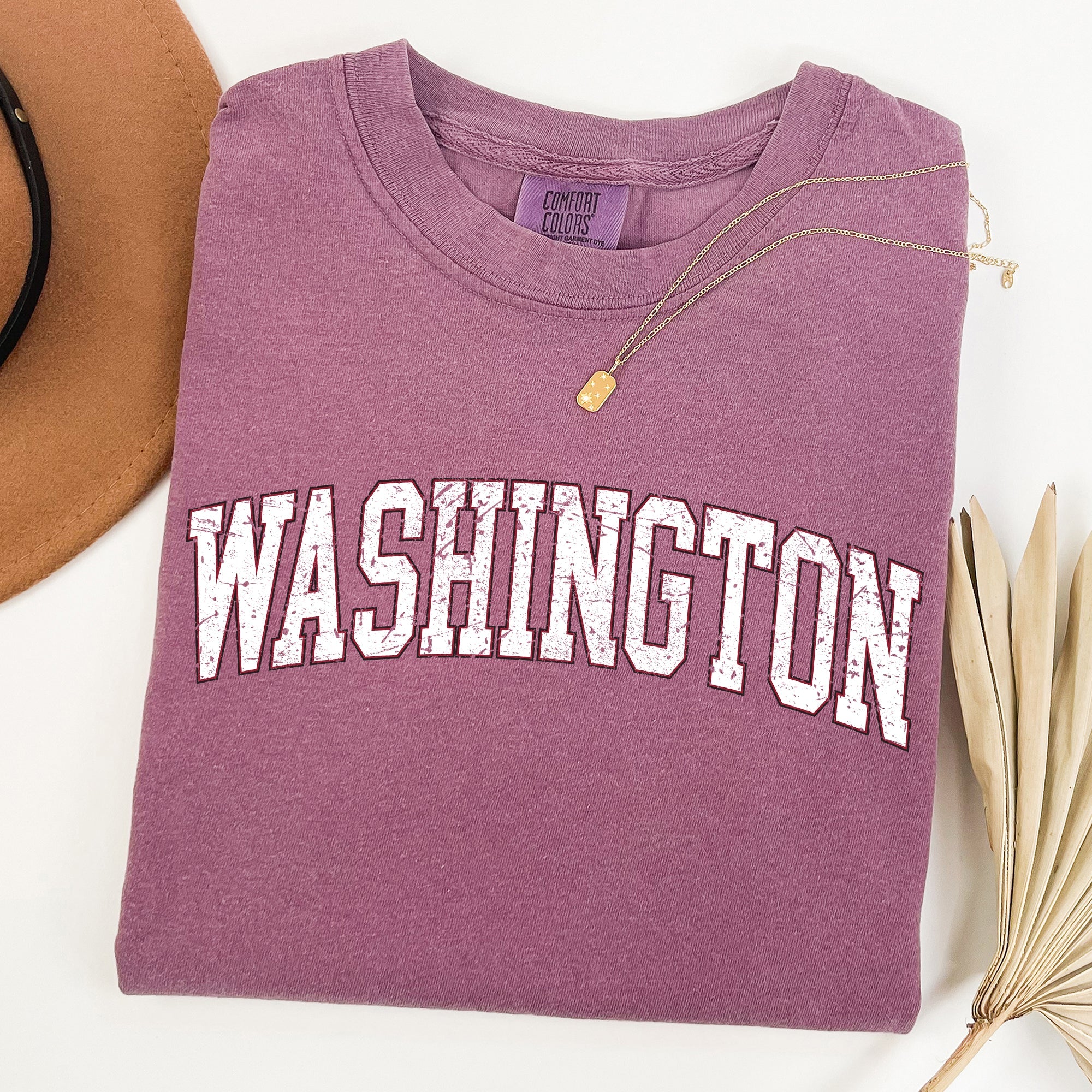 Washington State Football Game Day Tailgate University Pride Edition Comfort Colors Tee