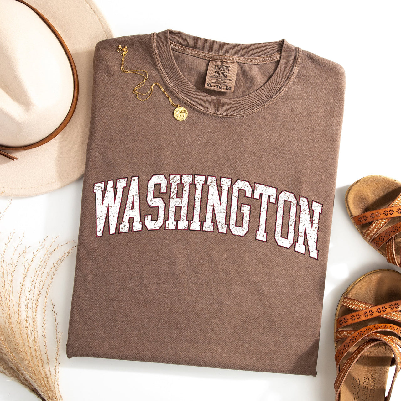 Washington State Football Game Day Tailgate University Pride Edition Comfort Colors Tee
