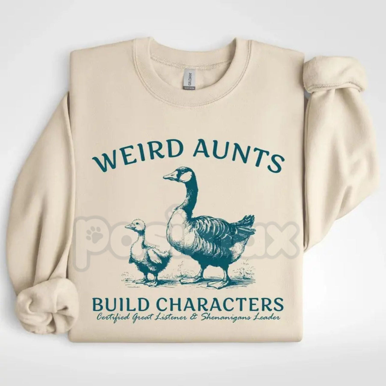 Weird Aunts Build Character Sweatshirt | Funny Cool Aunt Crewneck | Aesthetic Fun Aunt Jumper | Gift for Best Aunt Ever | Eccentric Auntie Graphic Shirt