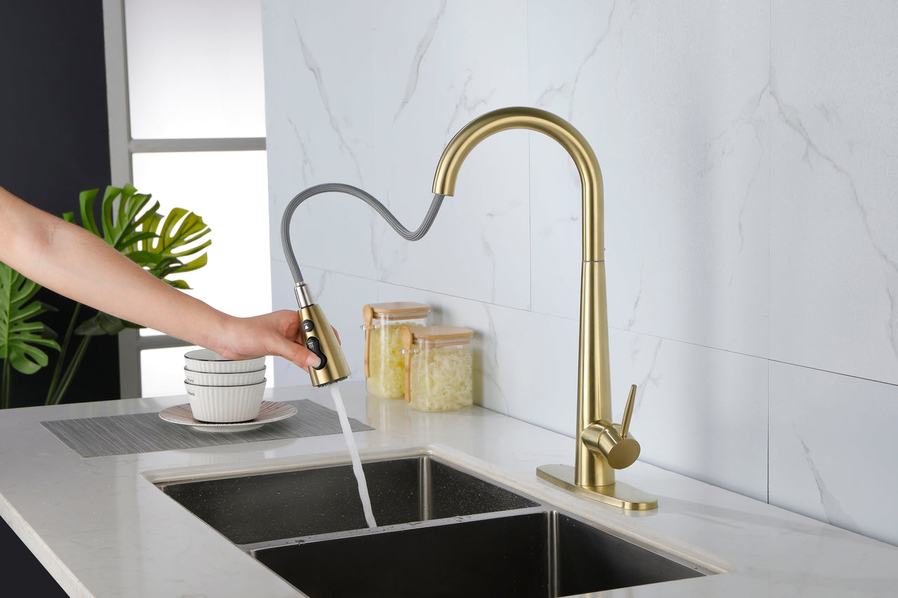Single Handle Stainless Steel Kitchen Sink Faucet with Pull Down Sprayer