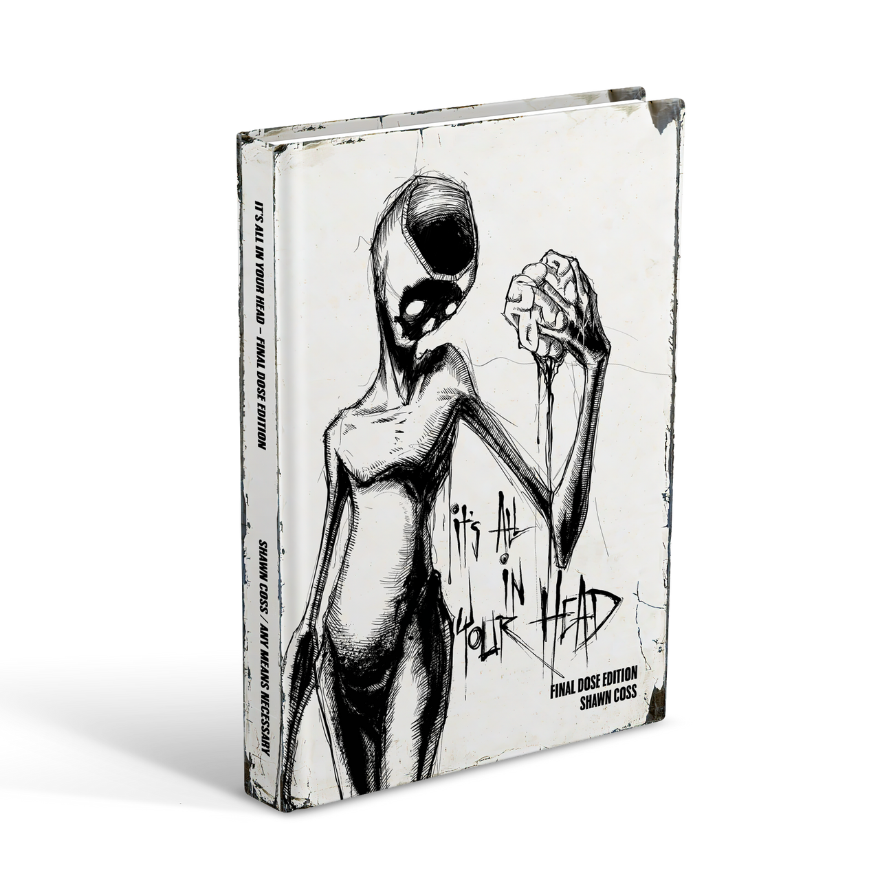 Vol 3 - It's All In Your Head Art Book