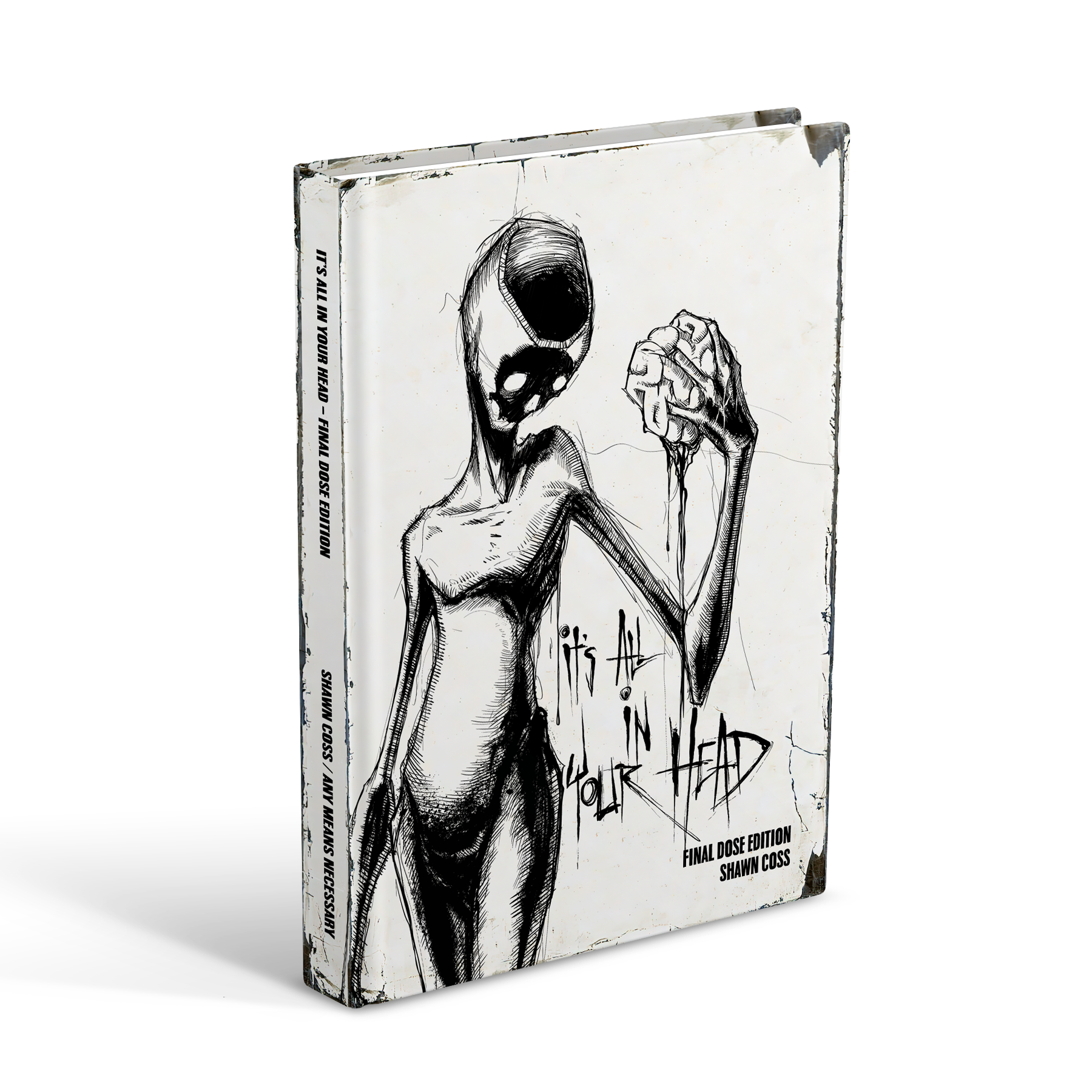 Vol 3 - It's All In Your Head Art Book