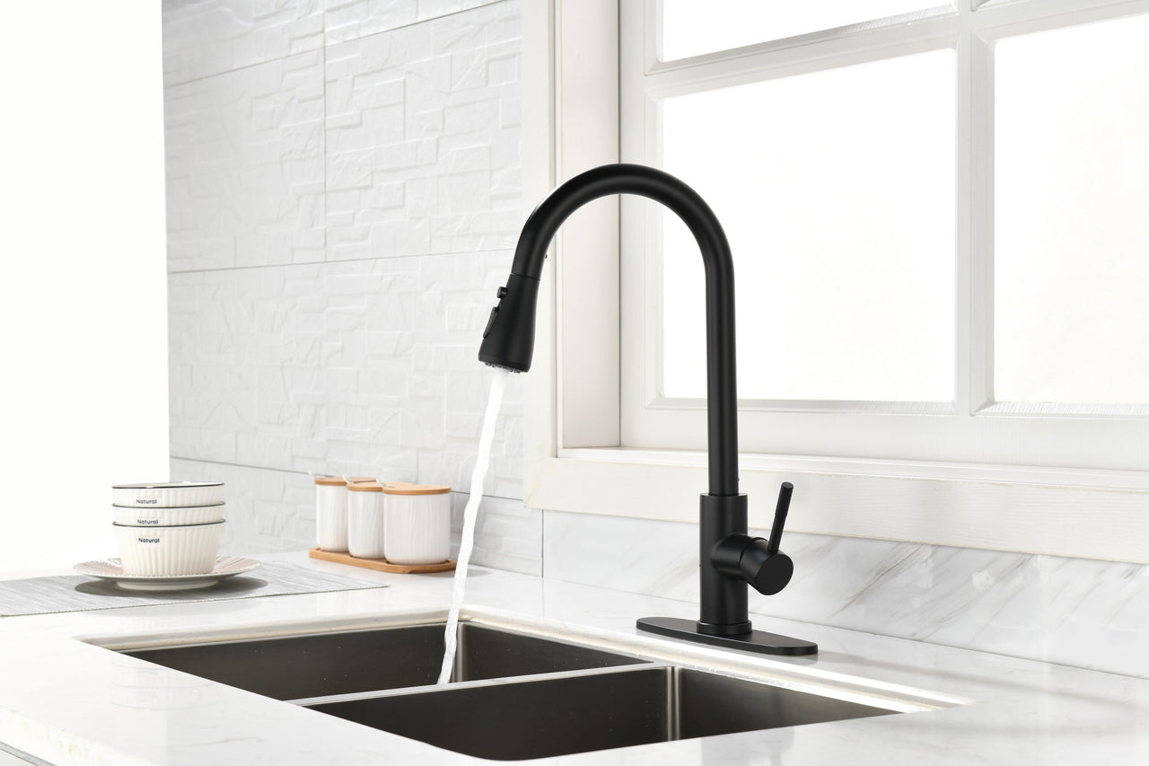 Kitchen Faucet with Pull Out Spraye