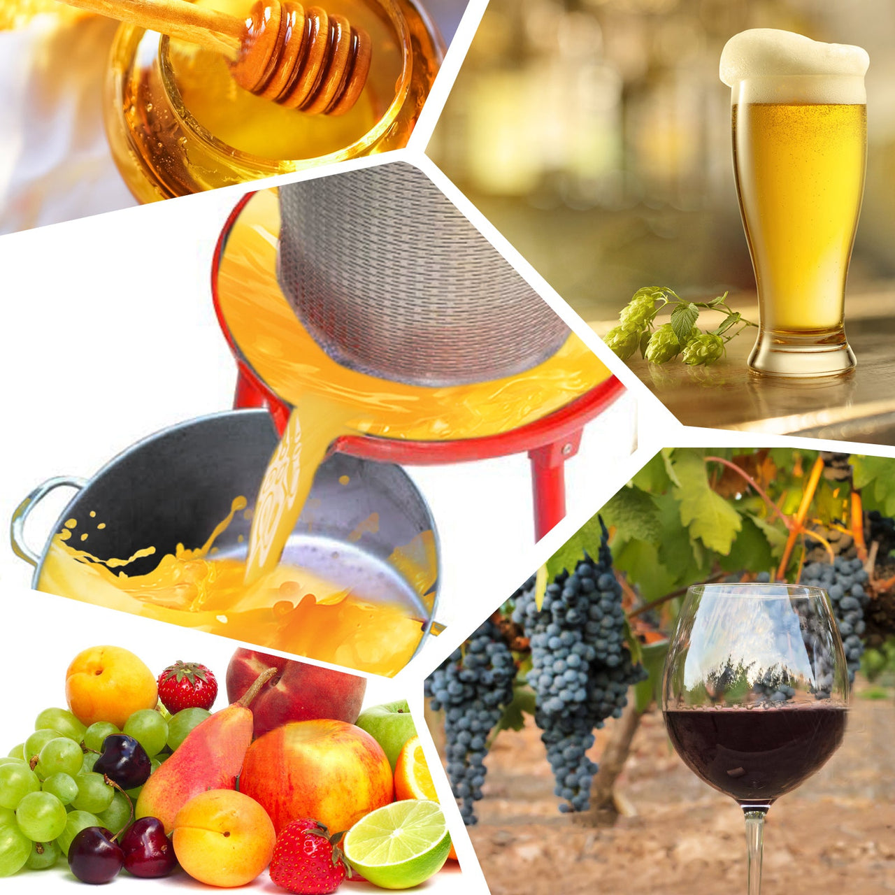 Hydraulic Fruit Wine Press with Fruit and Apple Crusher - Electricity-Free/Water-powered Cider Wine Bladder Press