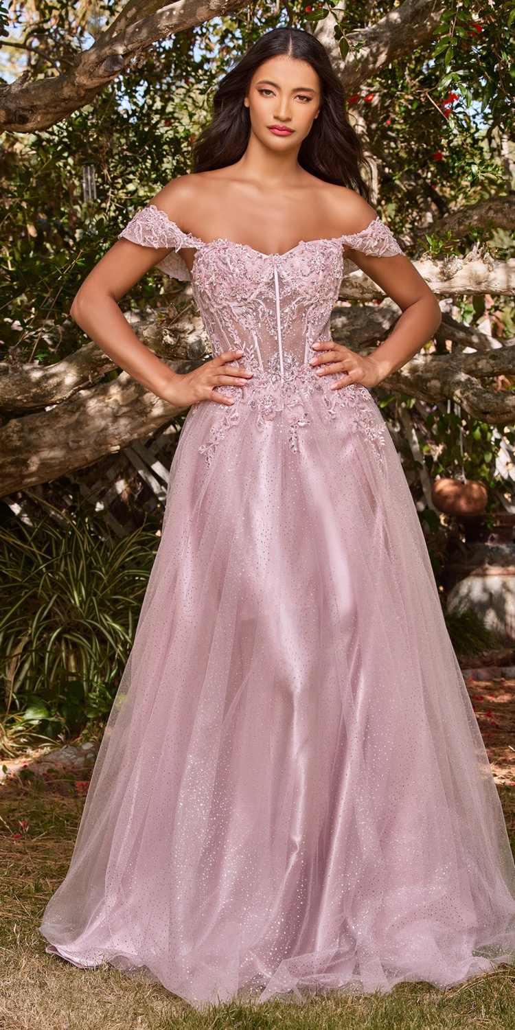 Cinderella Divine CD0198 Long Lace A-Line Gown with Off the Shoulder Sleeves