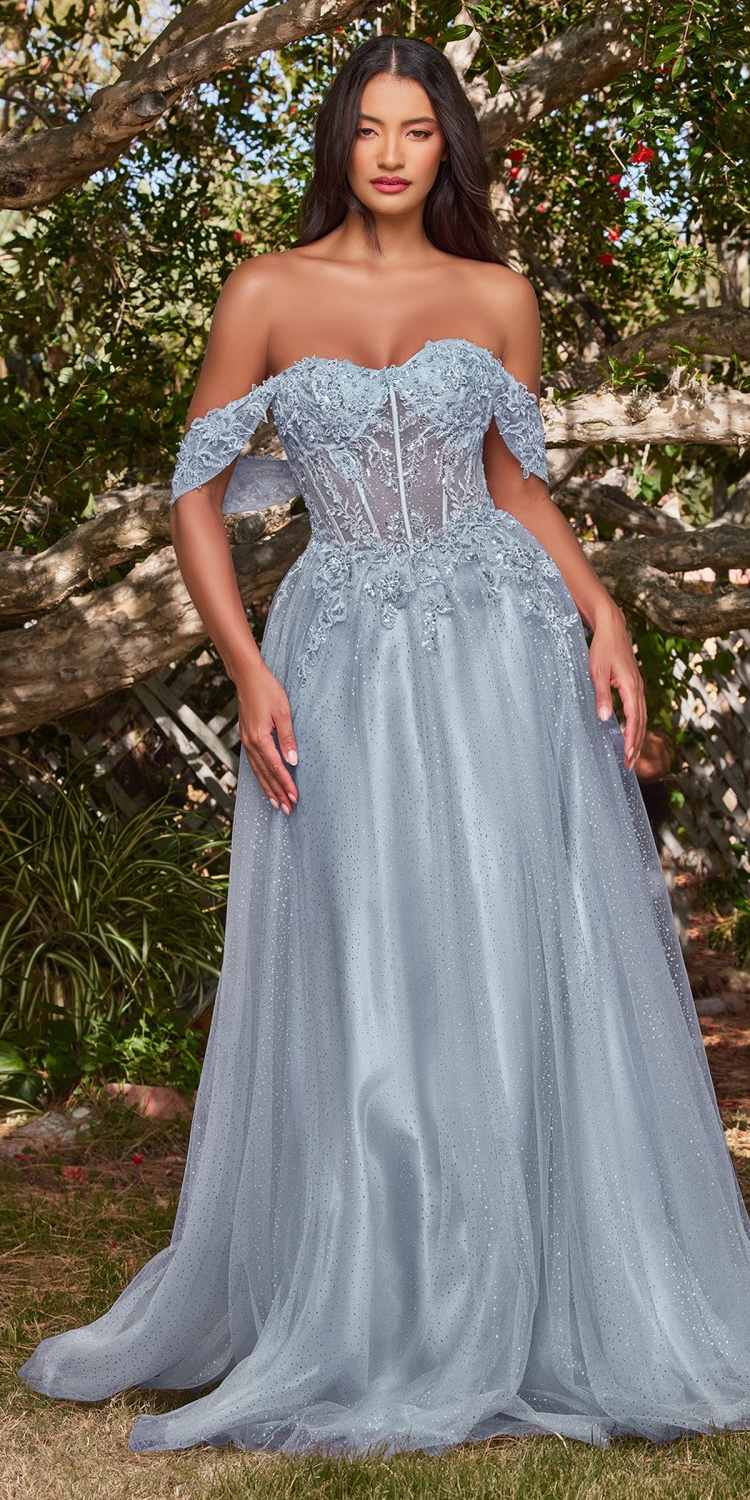 Cinderella Divine CD0198 Long Lace A-Line Gown with Off the Shoulder Sleeves