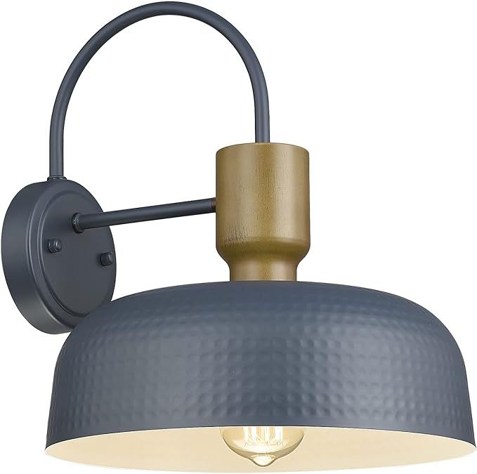 Outdoor Gooseneck Barn Light – Blue