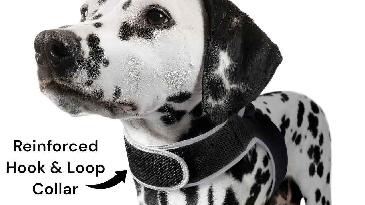 Consistent Realtime Mini Cat Dog GPS Tracking Collar Waterproof Device Size:L