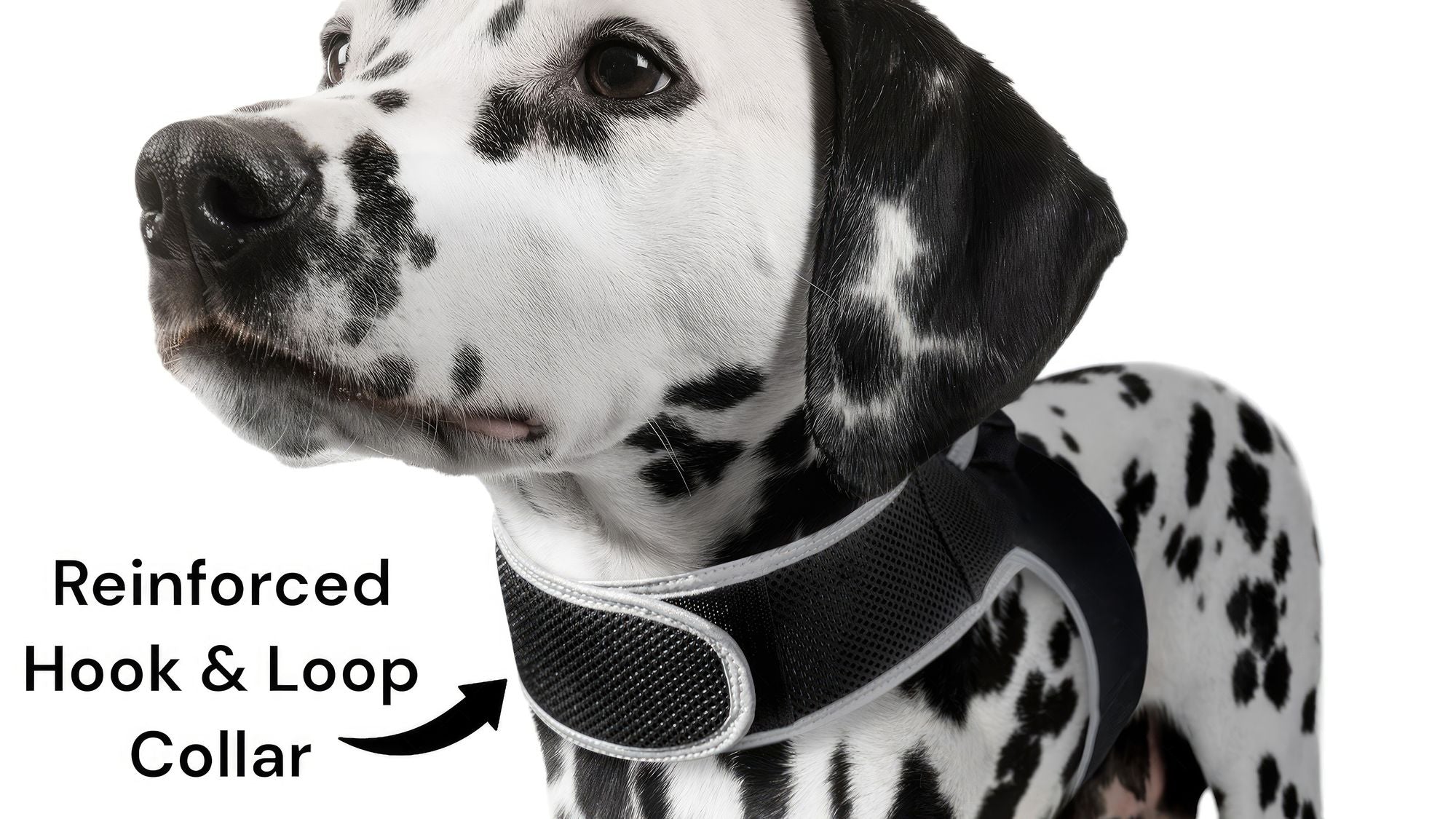 Consistent Realtime Mini Cat Dog GPS Tracking Collar Waterproof Device Size:L
