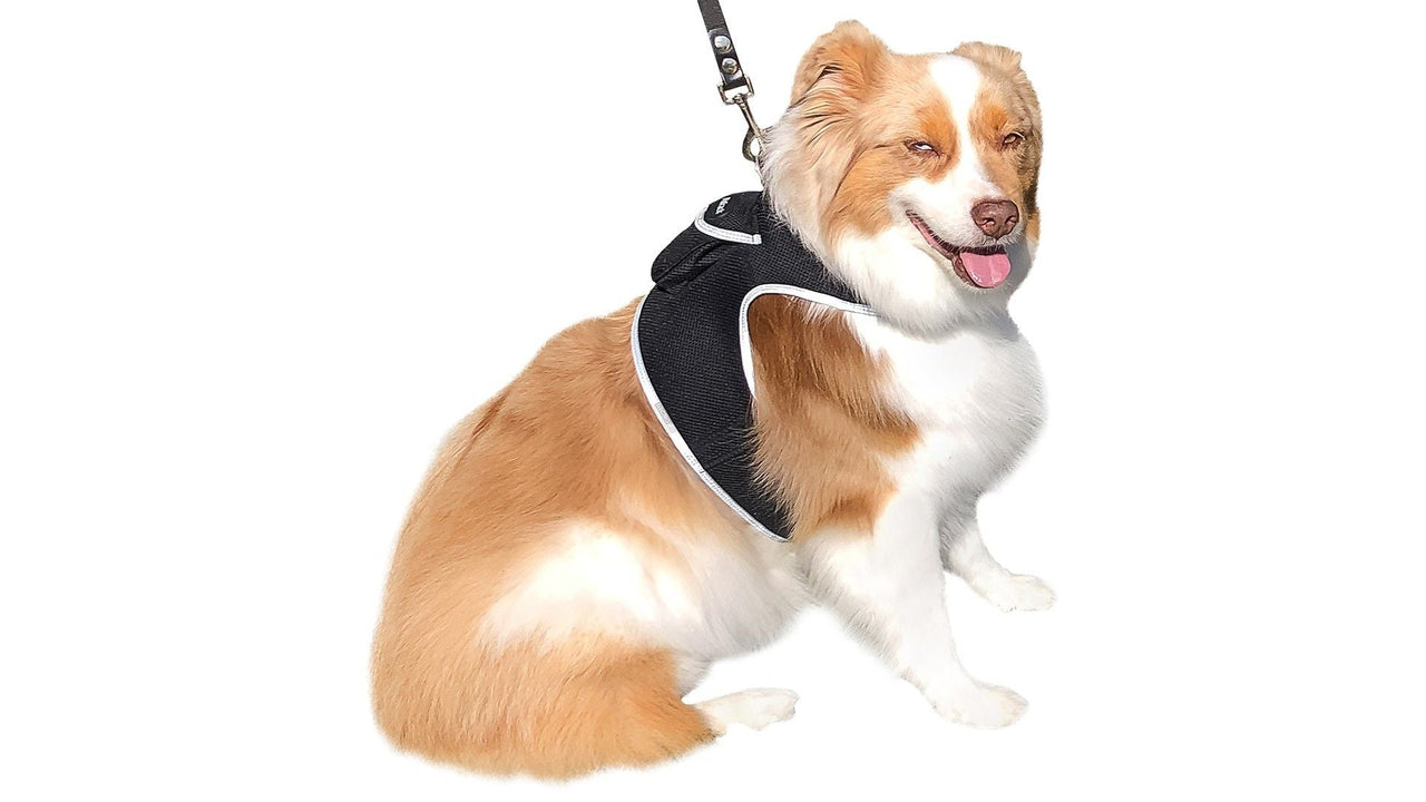 Waterproof GPS Tracker Dog Cat Rechargeable Locator with Battery Alert Size:L