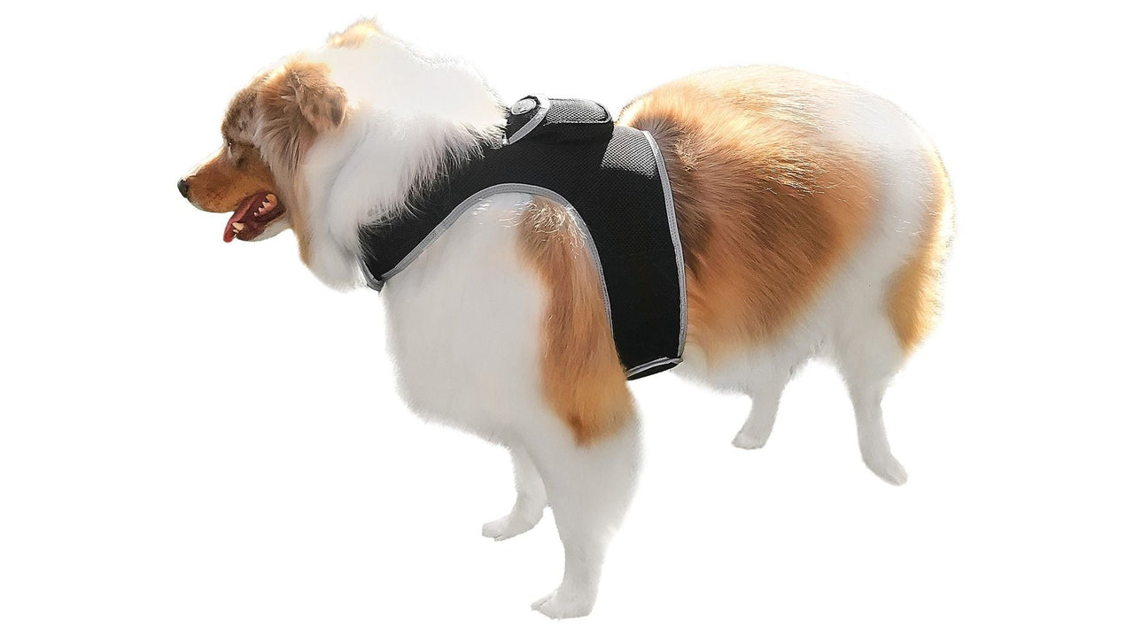 Waterproof GPS Tracker Dog Cat Rechargeable Locator with Battery Alert Size:L