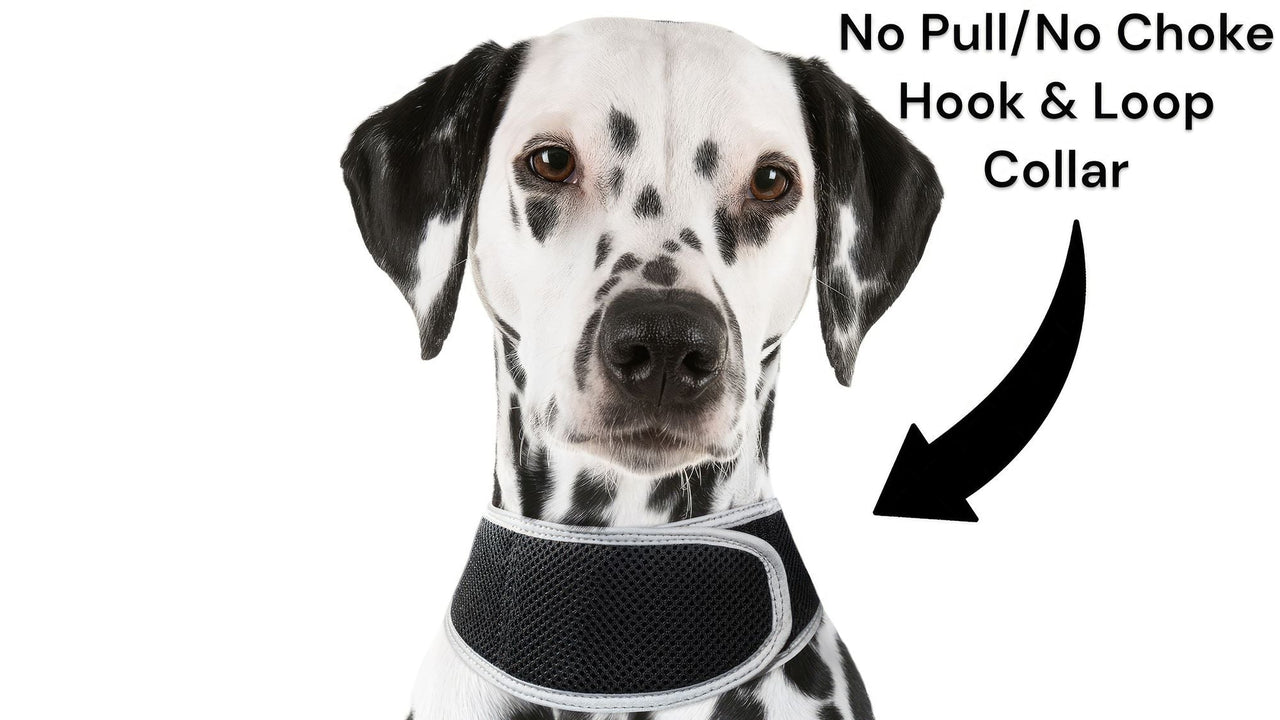 Keep Pet Safe with Pet Tracker GPS Dog Collar Tracking Device + Phone App Size:M