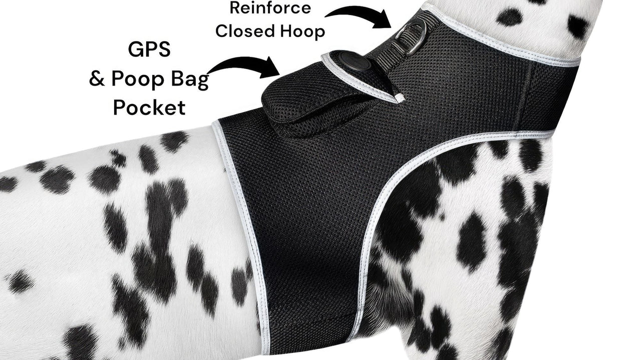 Collar Rechargeable Portable GPS Tracking Devices for Pets GSM Locator Size:S