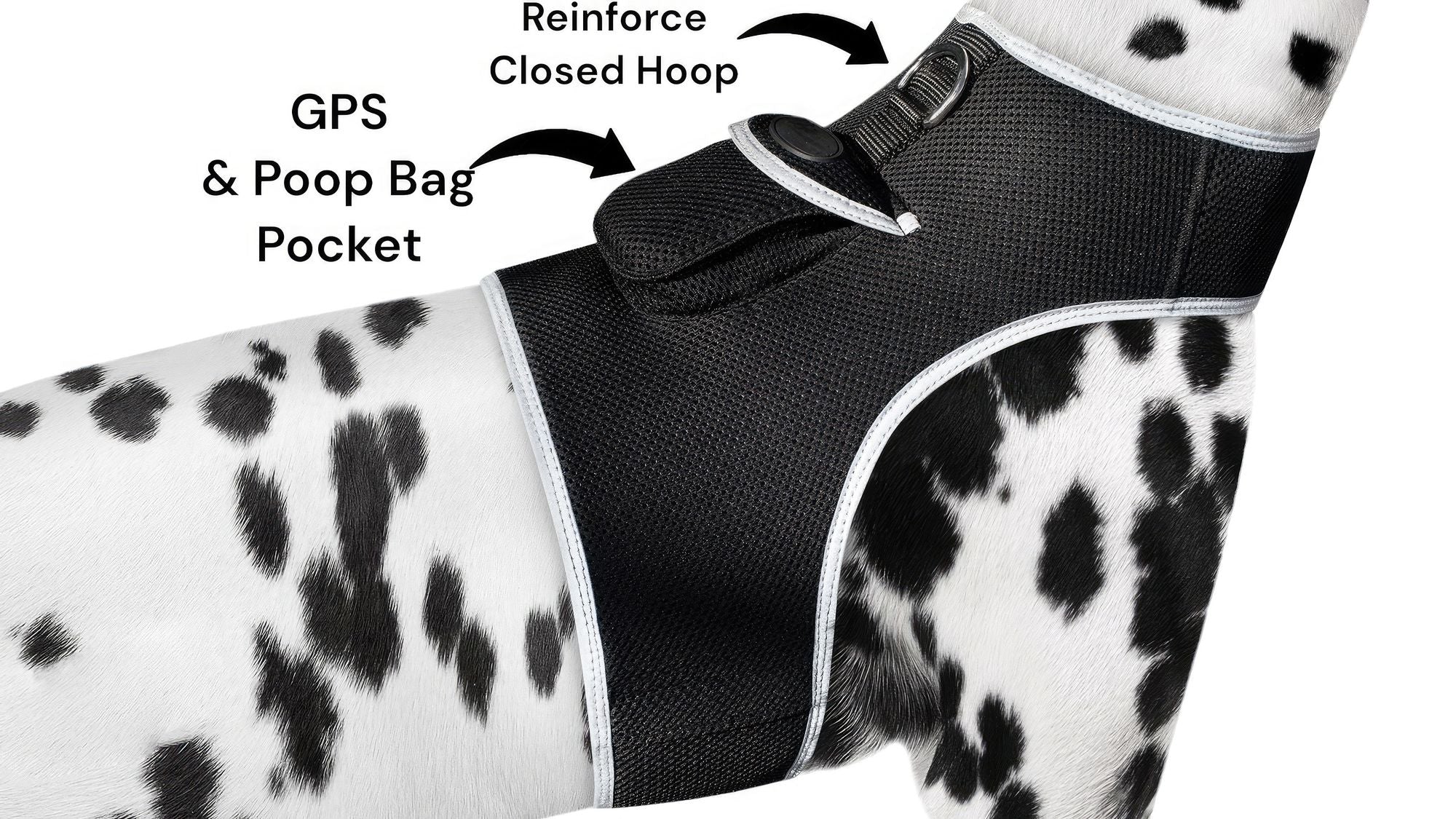 Collar Rechargeable Portable GPS Tracking Devices for Pets GSM Locator Size:S