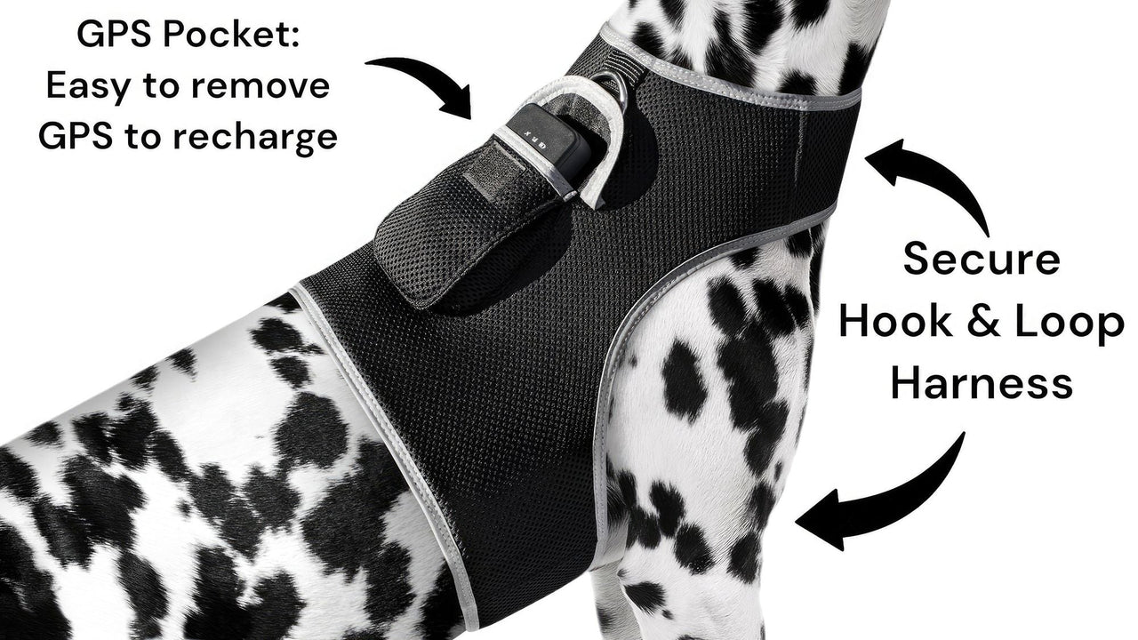 Keep Pet Safe with Pet Tracker GPS Dog Collar Tracking Device + Phone App Size:M