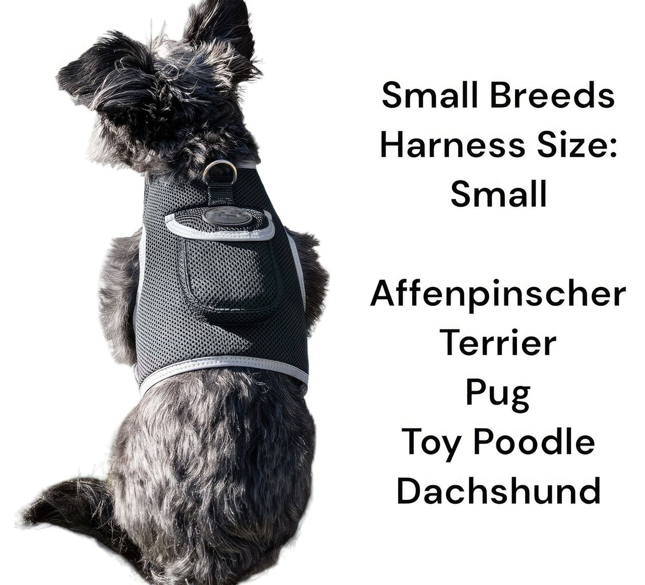 Keep Pet Safe with Pet Tracker GPS Dog Collar Tracking Device + Phone App Size:M
