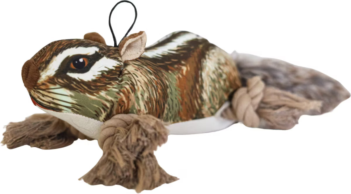 Steel Dog - Roper Prairie Chipmunk