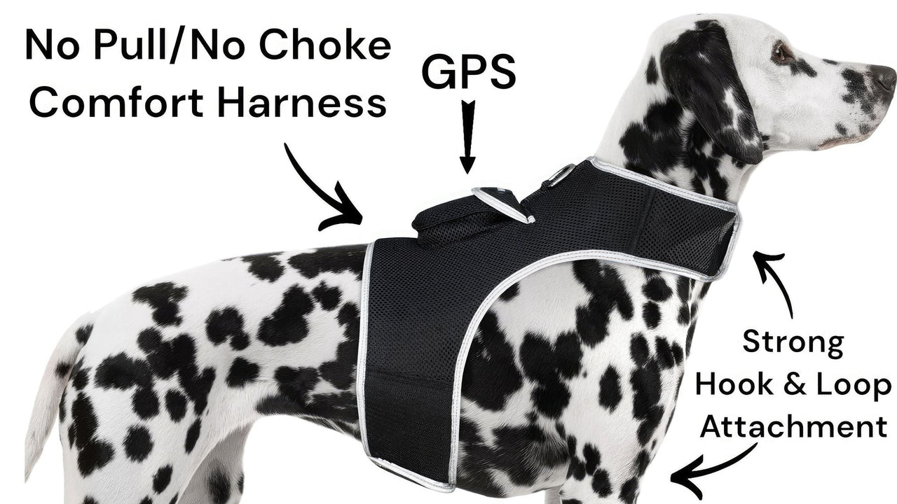 Easy Setup Waterproof Mini GPS Realtime Pet GSM GPRS Tracking Device Size:L