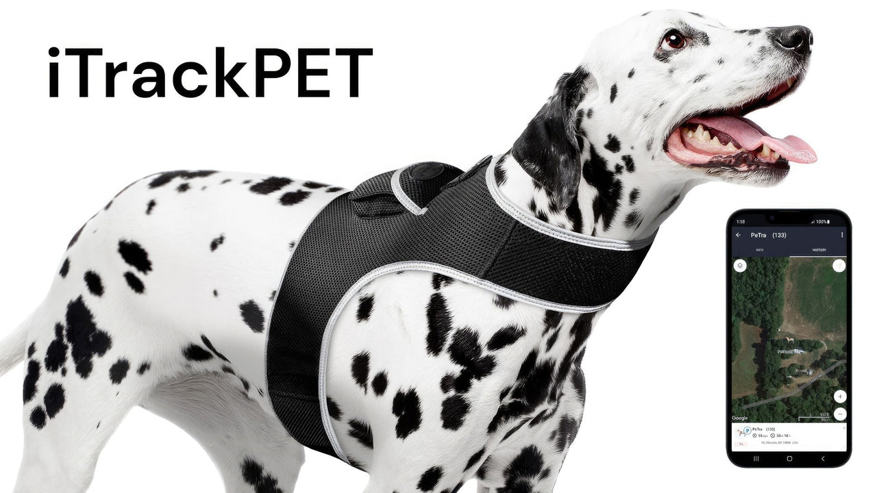 GPS Rechargeable Tracking Device for Pets Realtime Surveillance System Size:XXL