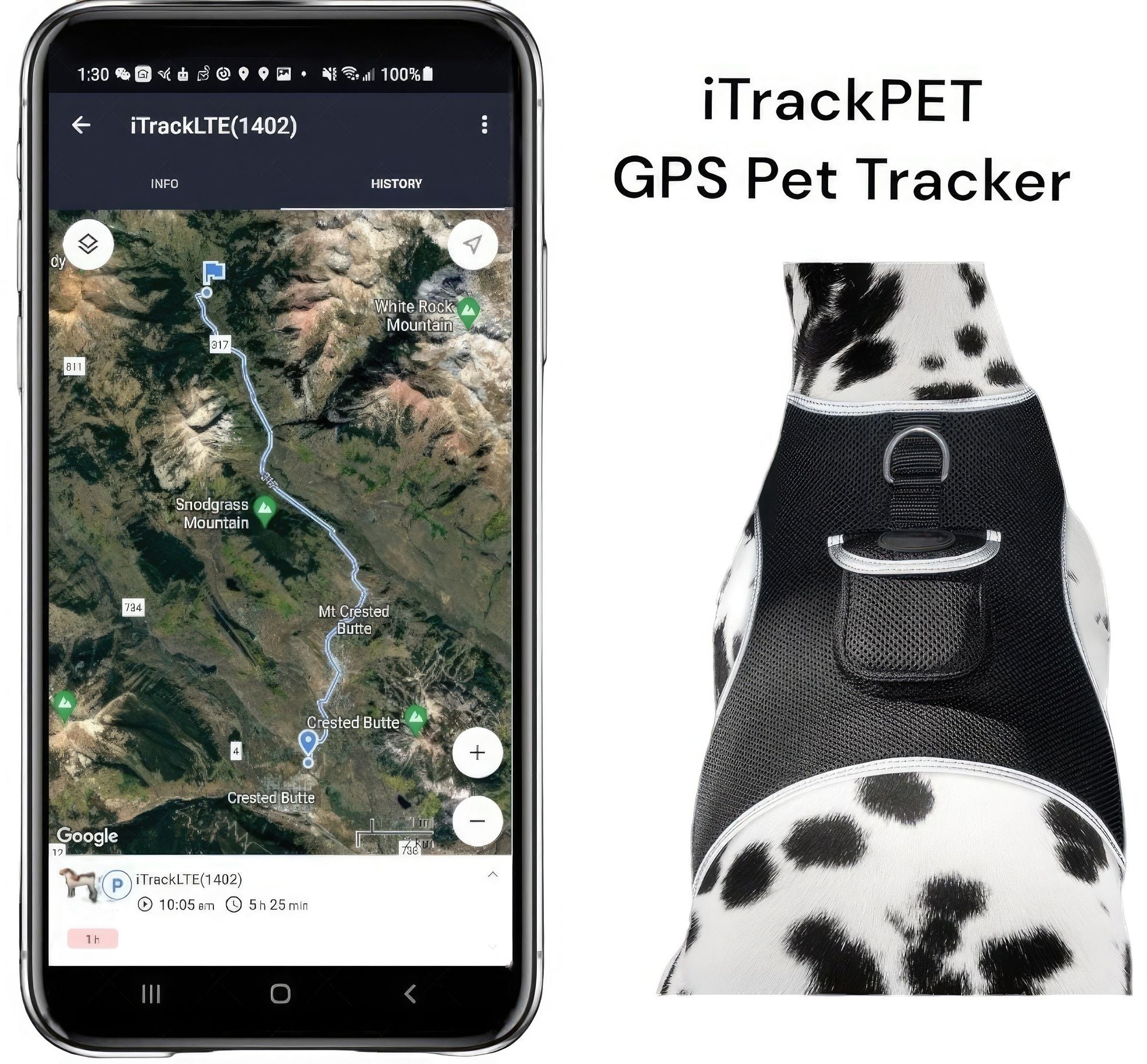 Consistent Realtime Mini Cat Dog GPS Tracking Collar Waterproof Device Size:L