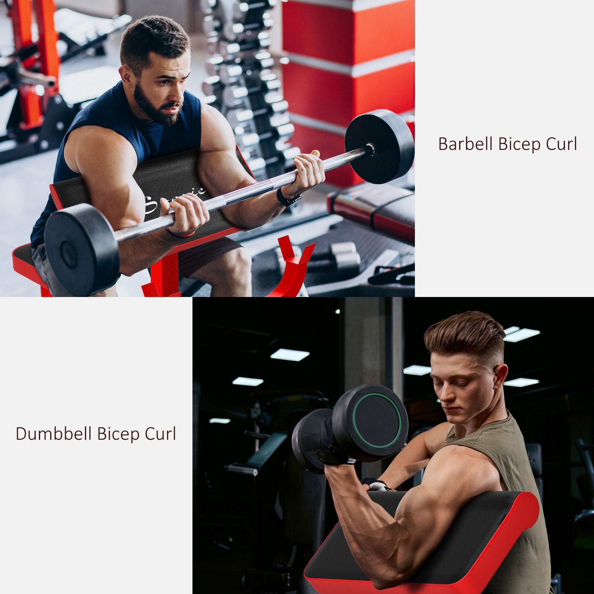 265 LBS Preacher Curl Bench for Strength Training, Adjustable Seated Arm Isolated Barbell Dumbbell Bicep Station, Red