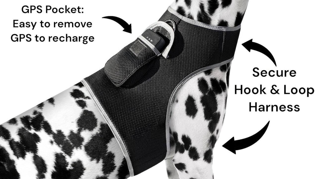 Waterproof GPS Tracker Dog Cat Rechargeable Locator with Battery Alert Size:L