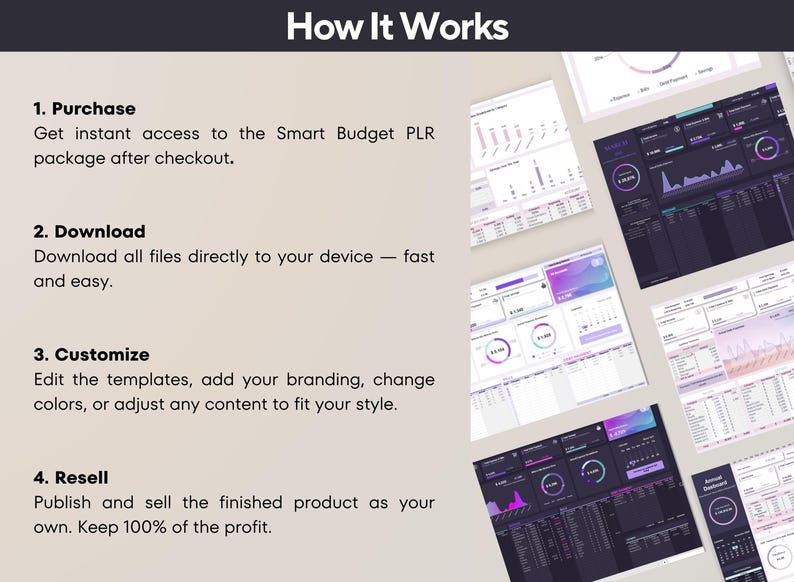 Simple Budget Spreadsheet PLR Template: Google Sheets & Excel | Income Expense Bill | Editable Finance tracker