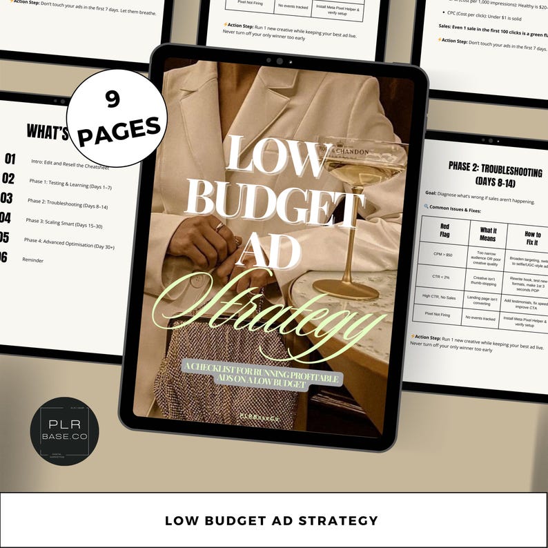 Daily Cash Method Bundle: Digital Business PLR & MRR