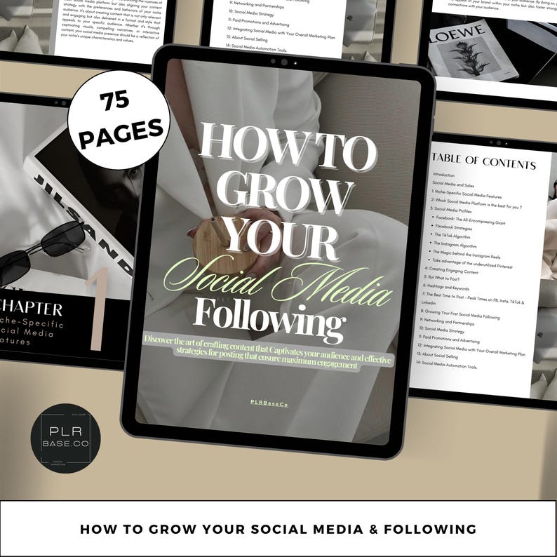 Daily Cash Method Bundle: Digital Business PLR & MRR